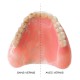 vernis dentaire pour prothese