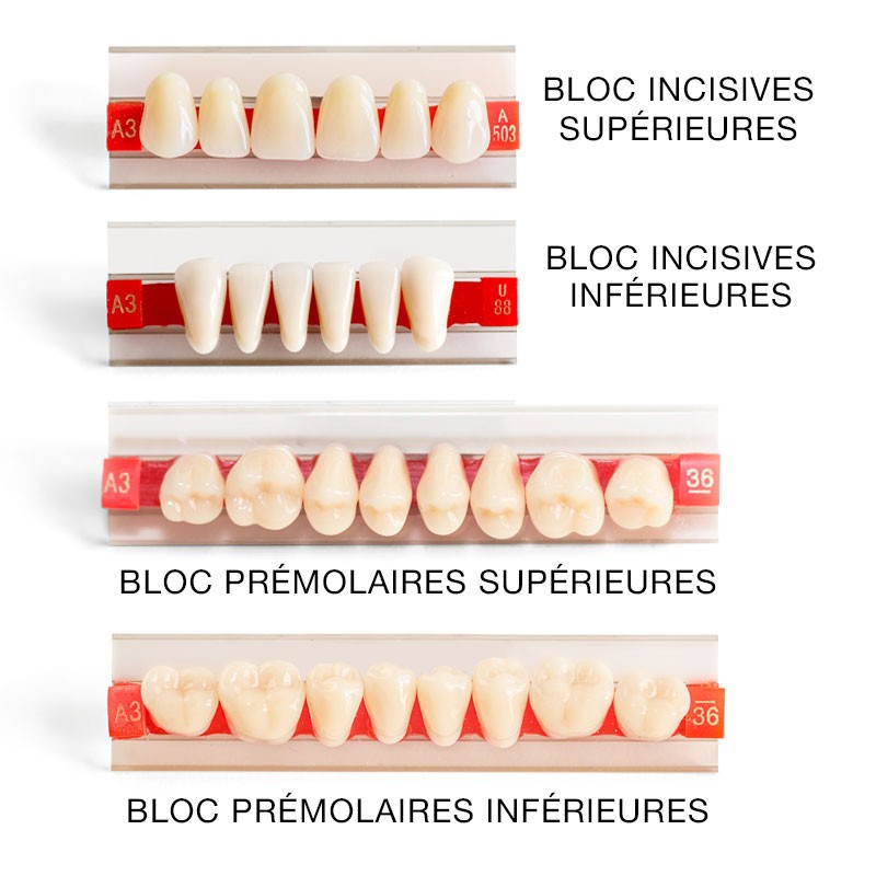 Dents pour dentier .Réparer un appareil dentaire ou rajouter une dent